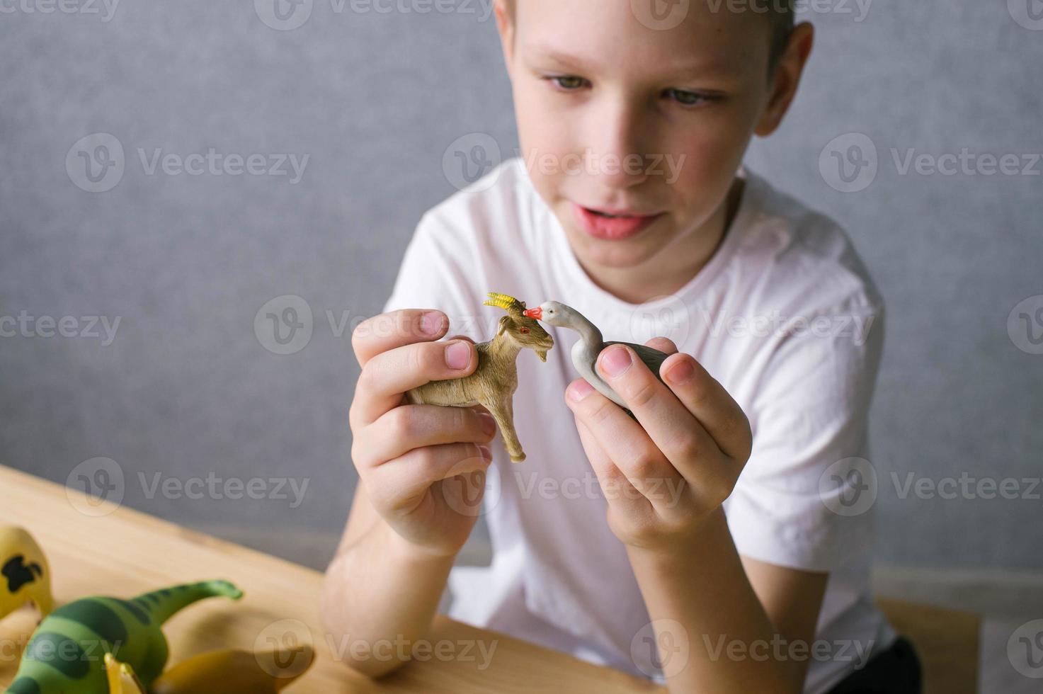 A cute boy holds animal figurines in his hands, a goose and a goat in the hands of a child photo