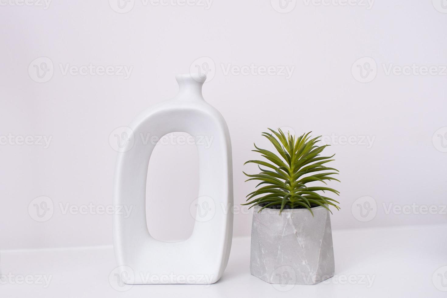 A white vase in the shape of a bottle stands on the table next to an aloe flower photo
