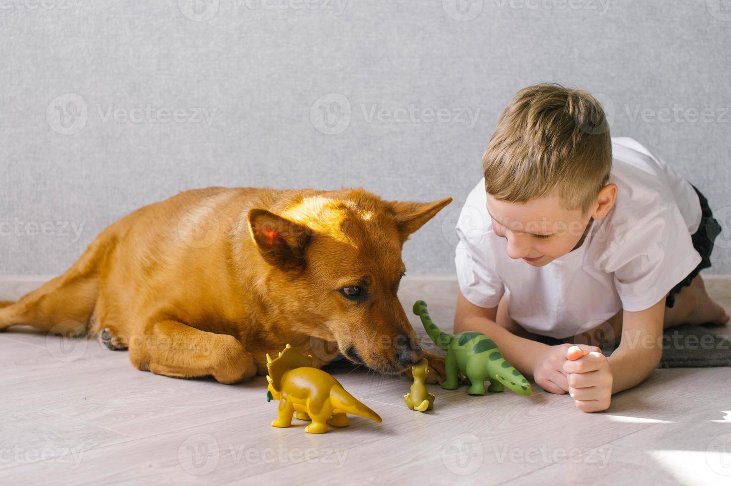 Cute boy sits on the floor near his dog at home and plays with toys photo