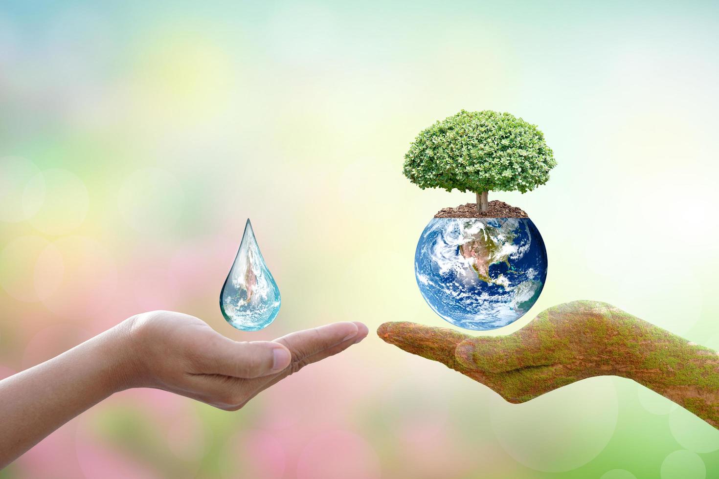concepto de ahorro el mundo árbol y agua gotas en humano manos foto