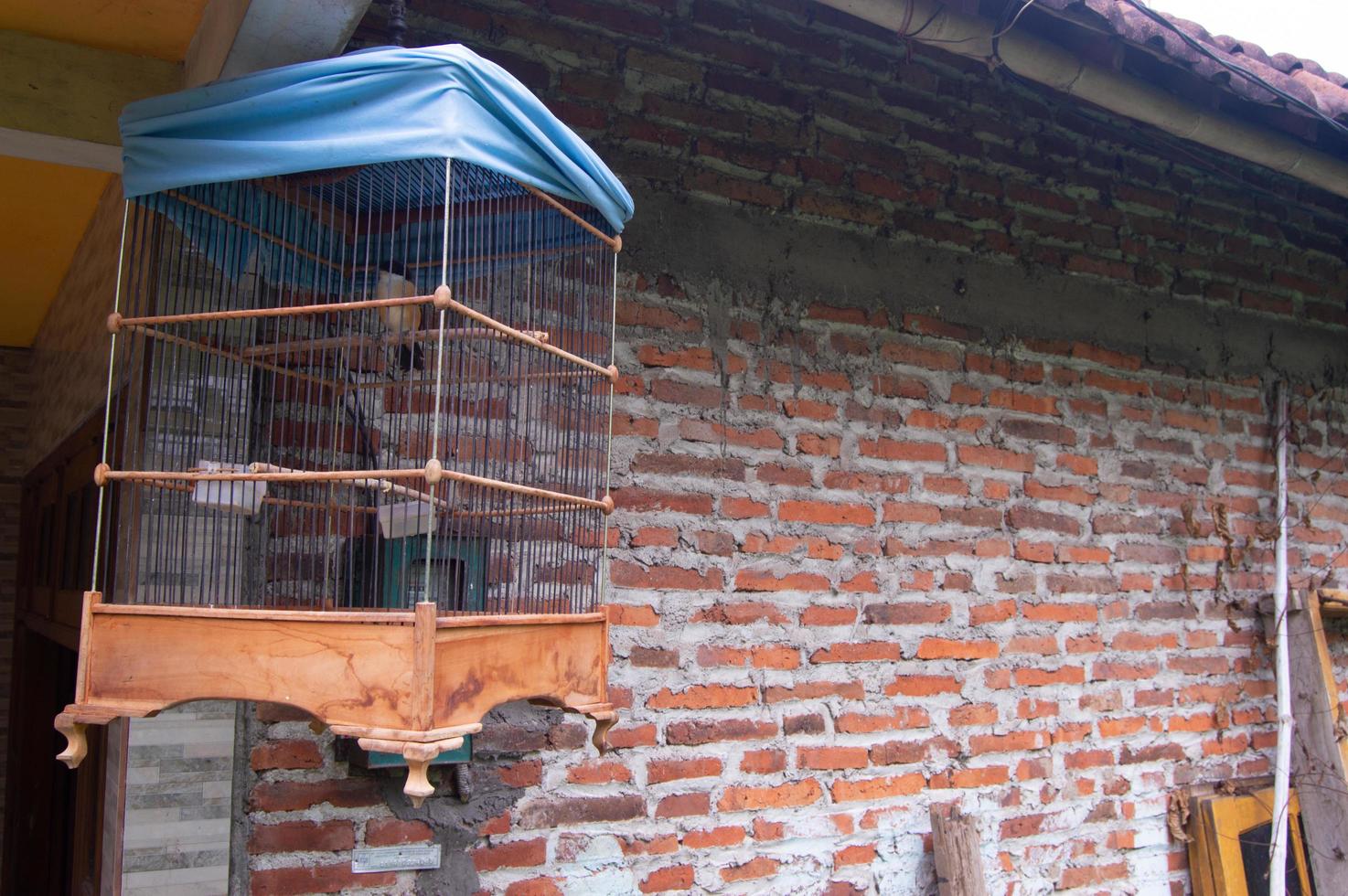 selective focus on the bird cage hanging beside the house photo