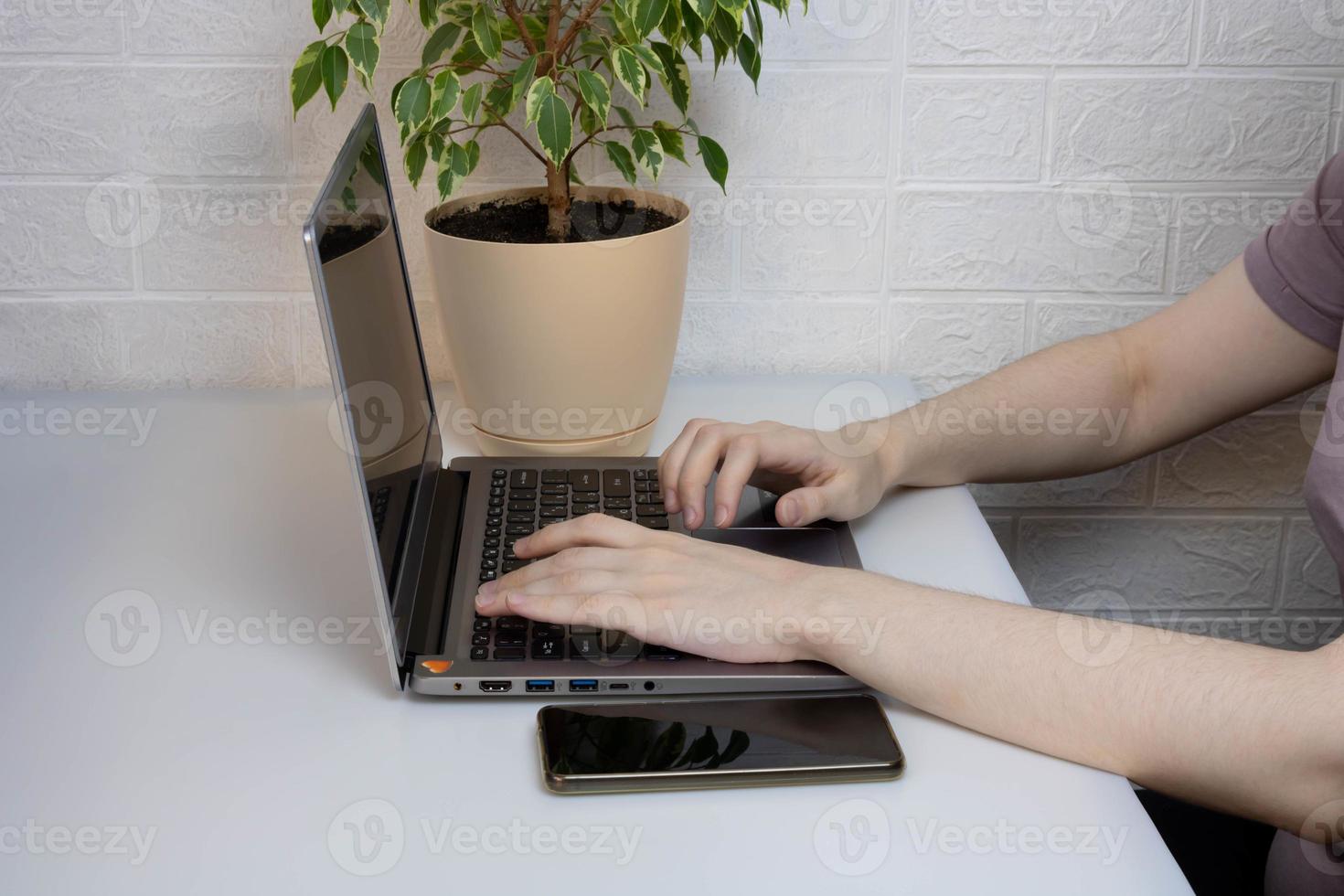 Working in a home office, women's hands on a laptop keyboard photo