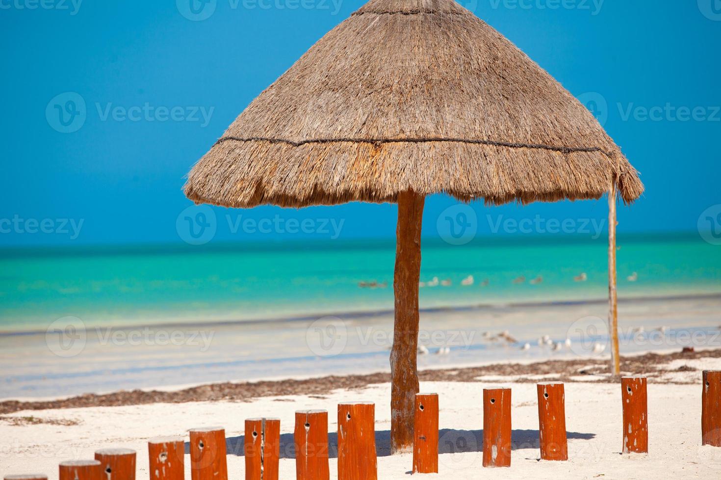 Scenic beach view photo