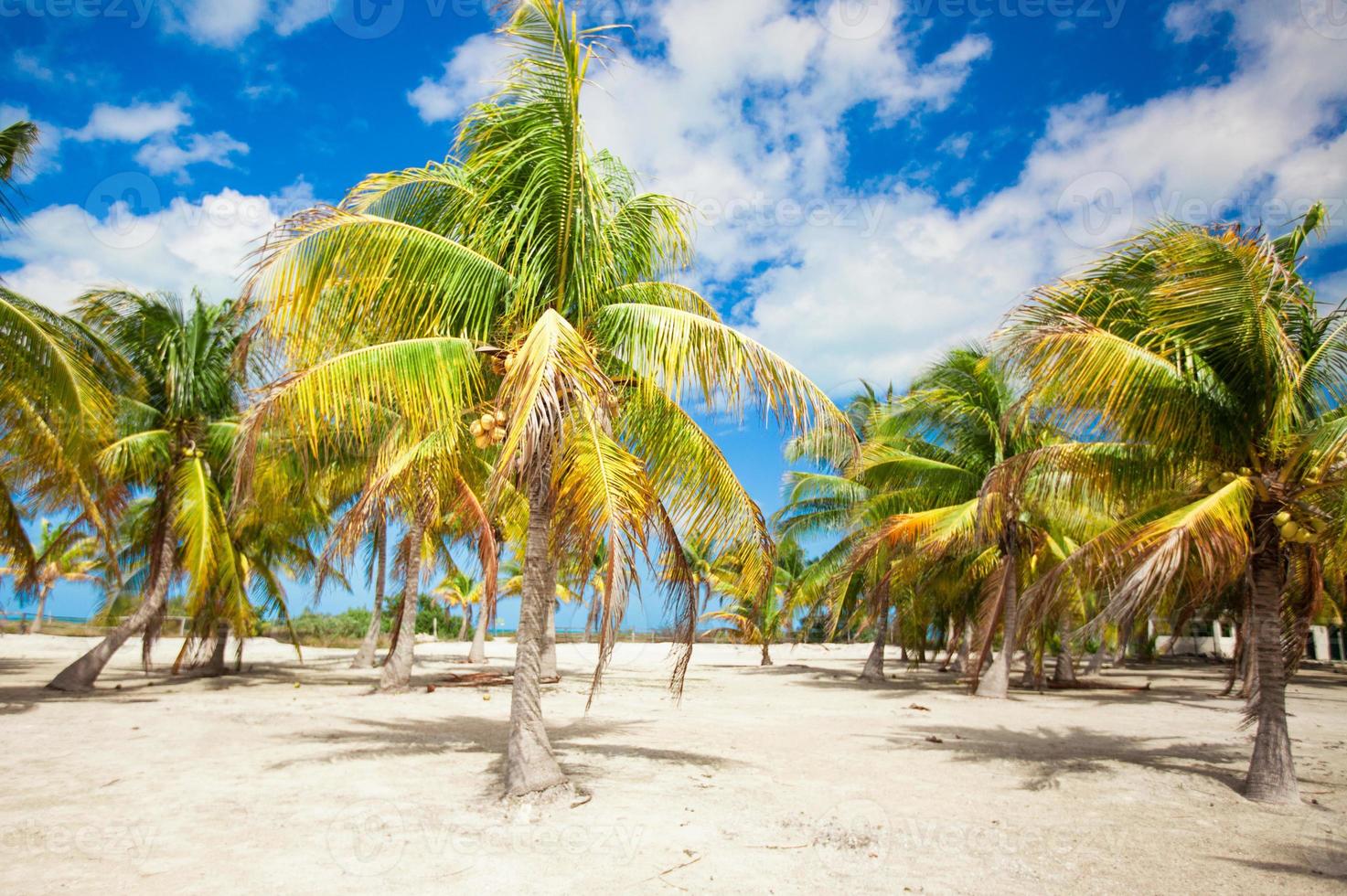 Scenic beach view photo