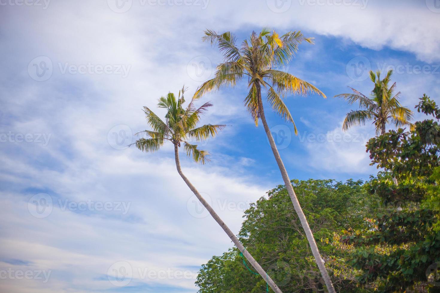 Scenic beach view photo