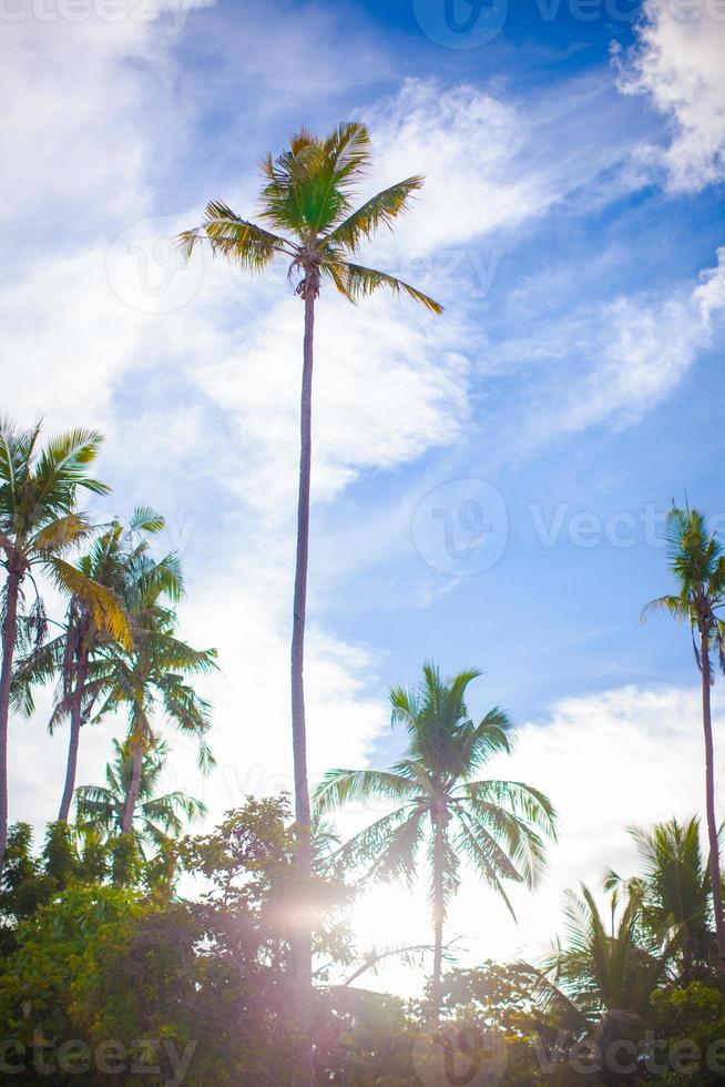 Scenic beach view photo