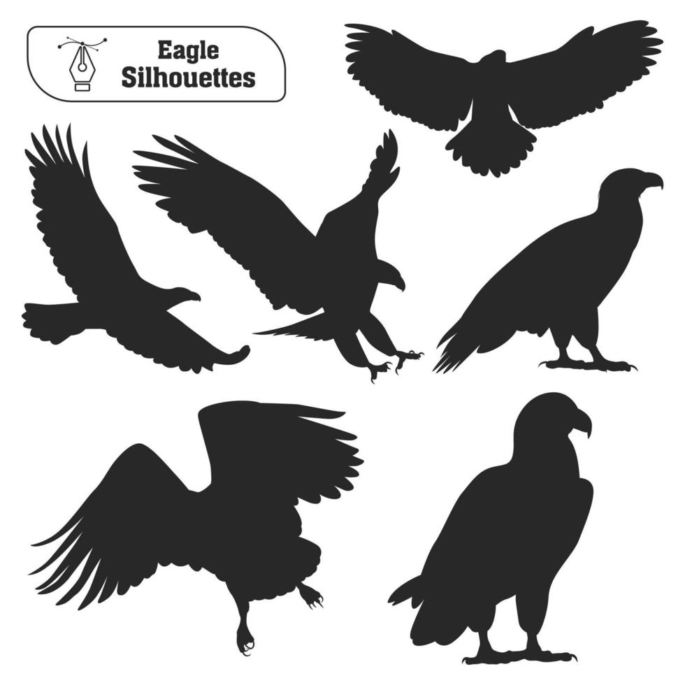 Collection of Animal bird Eagle silhouette in different poses vector