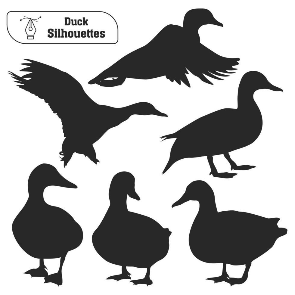 Collection of Animal duck silhouette in different poses vector