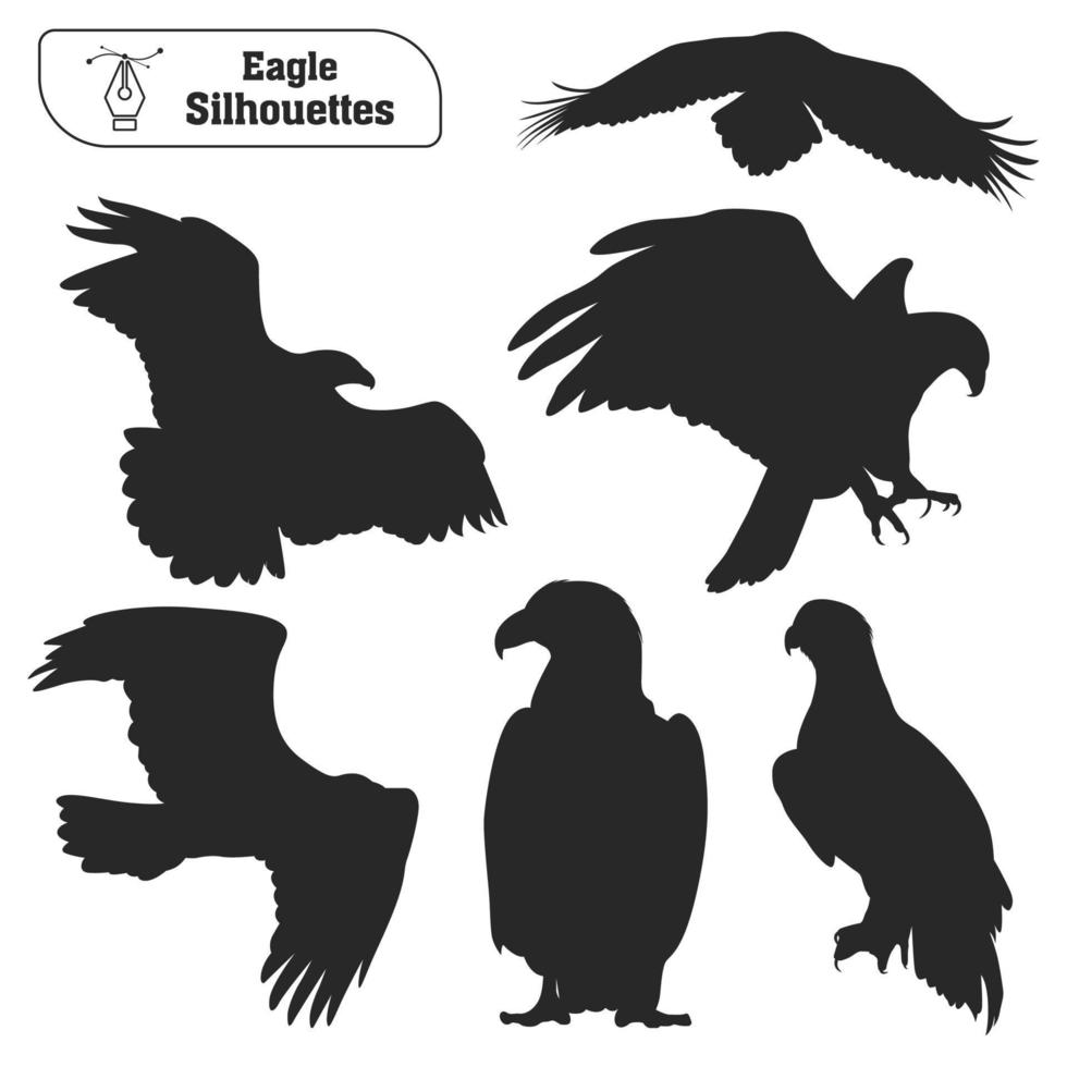 Collection of Animal bird Eagle silhouette in different poses vector