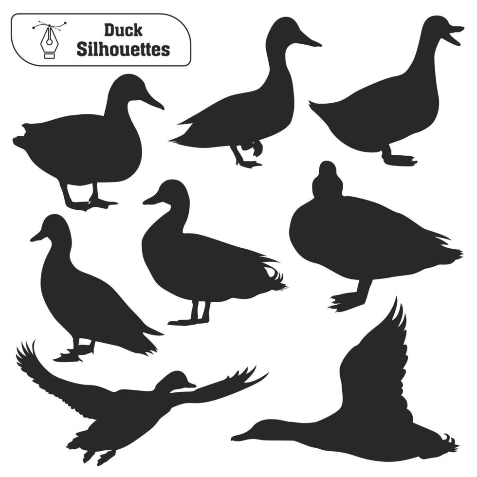 colección de silueta de pato animal en diferentes poses vector