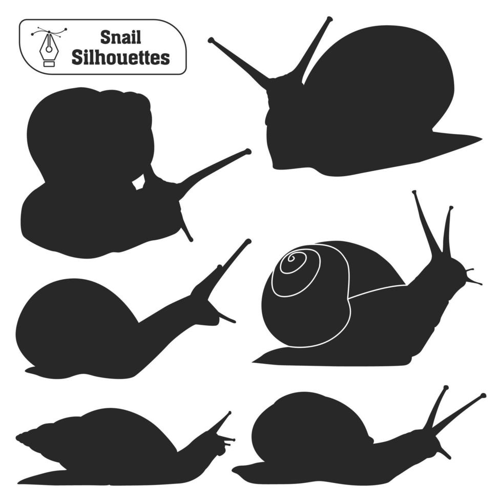 Vector collection of animal Snail silhouette in different poses
