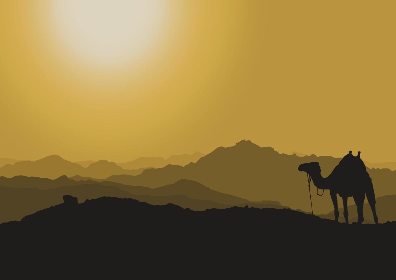 silhouette of a camel at sunset in the desert, vector illustration.