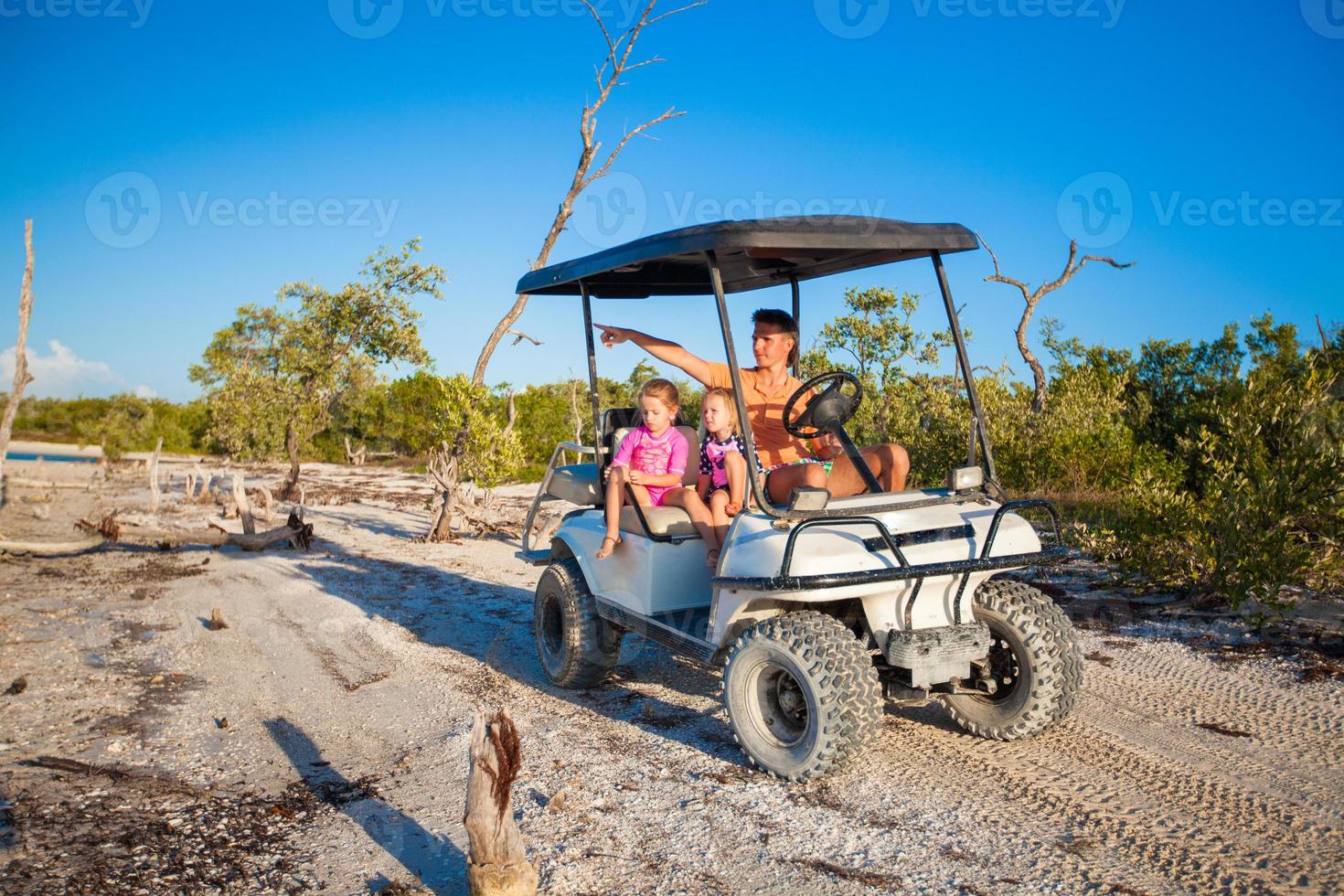 Family on the beach car photo