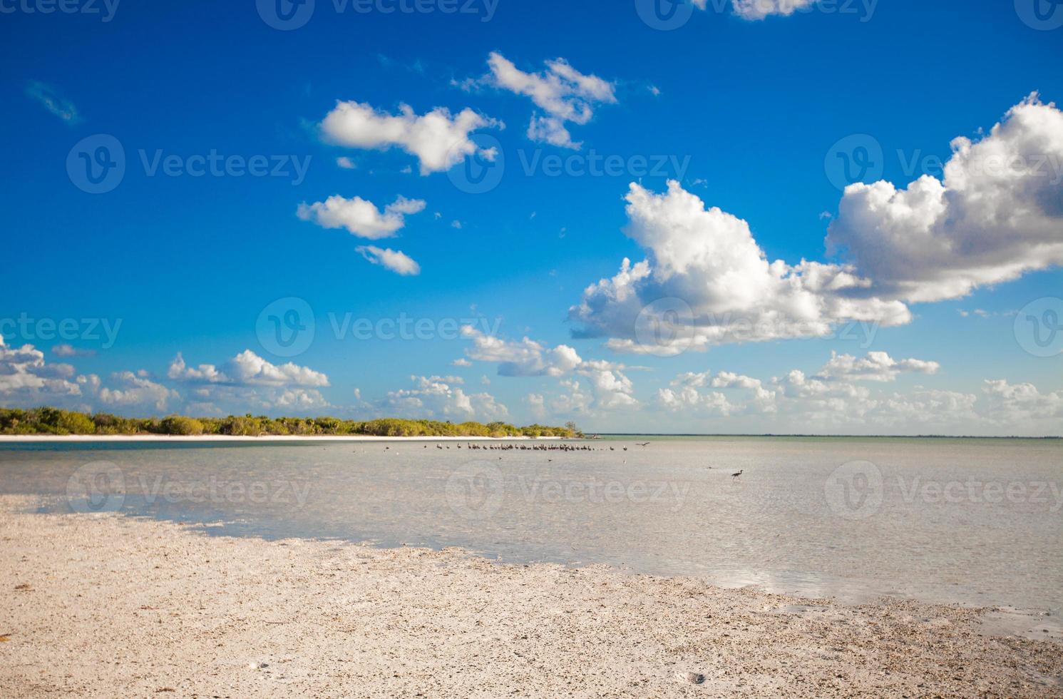 Scenic beach view photo