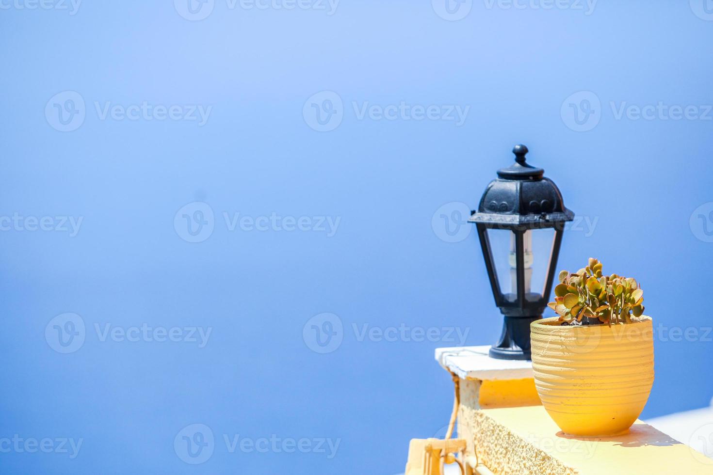 View with potted plants photo