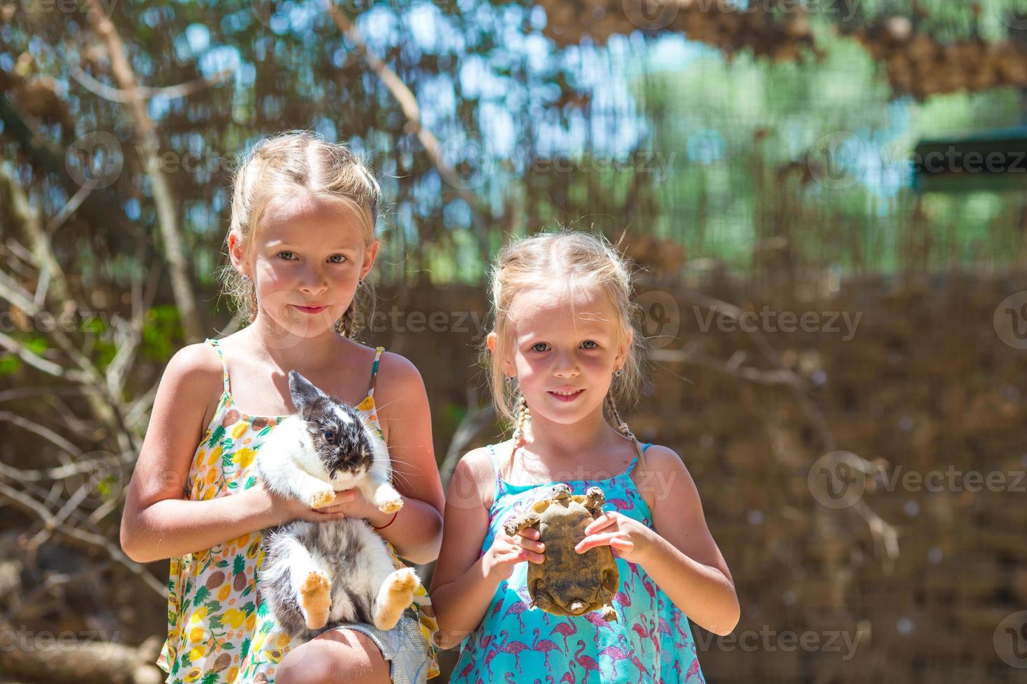 Little sisters holding animals photo