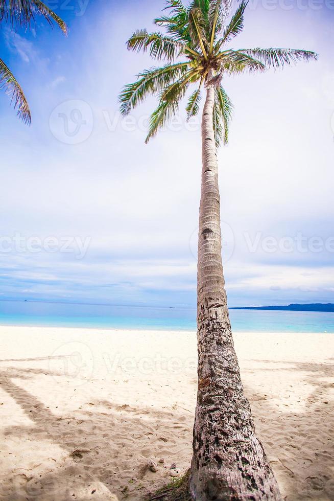 Scenic beach view photo