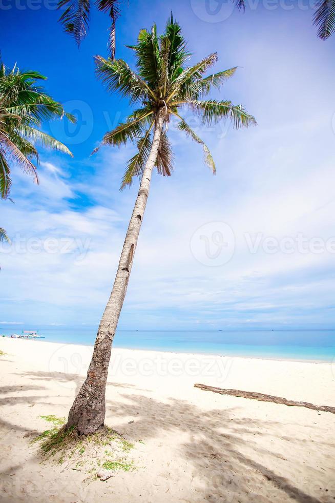 Scenic beach view photo