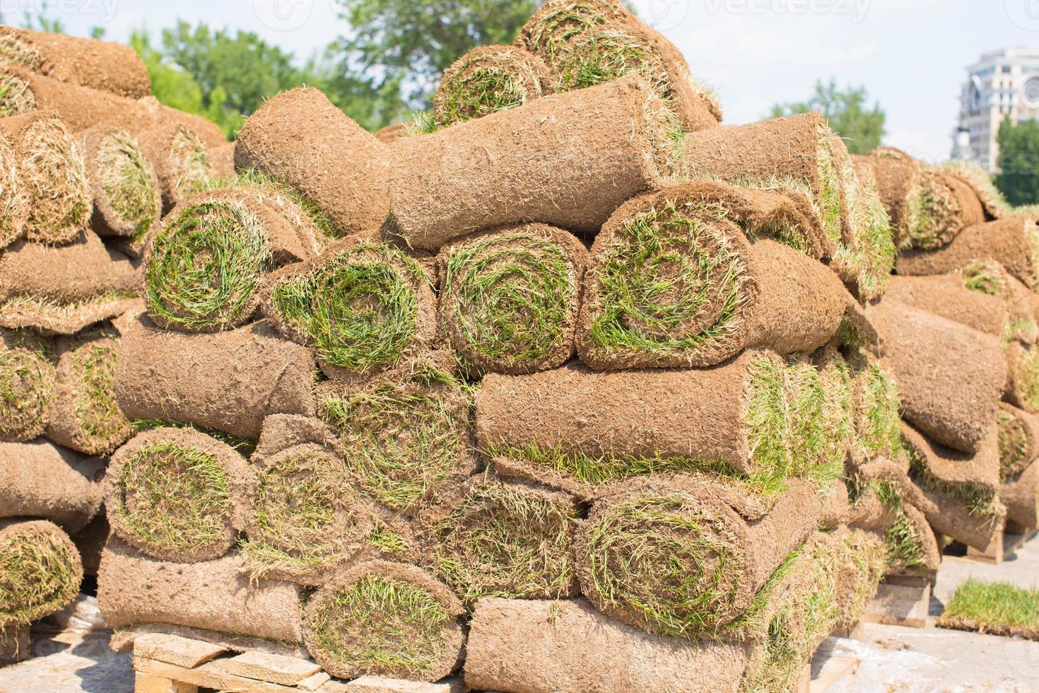 Rolled grass close-up photo