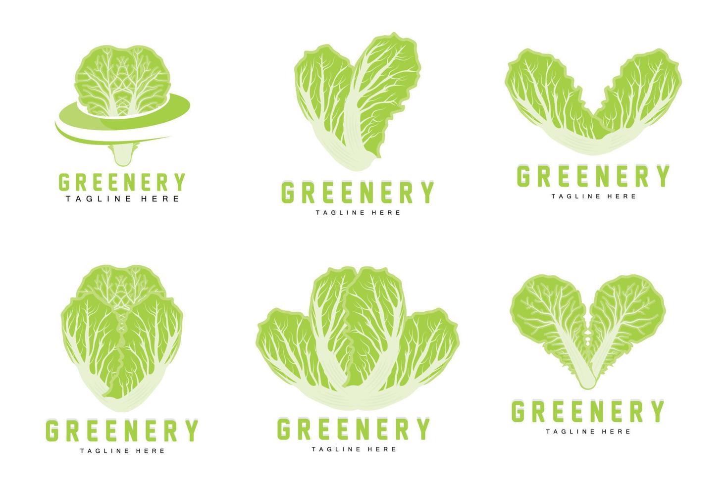 Chinese cabbage Logo Design Green Plant Vector Kimchi Food Ingredients