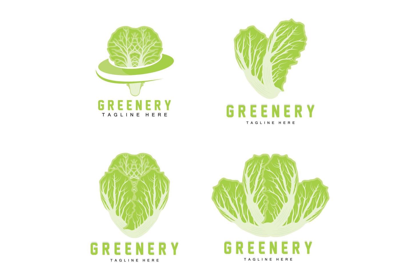 diseño de logotipo de repollo chino vector de planta verde kimchi ingredientes alimentarios