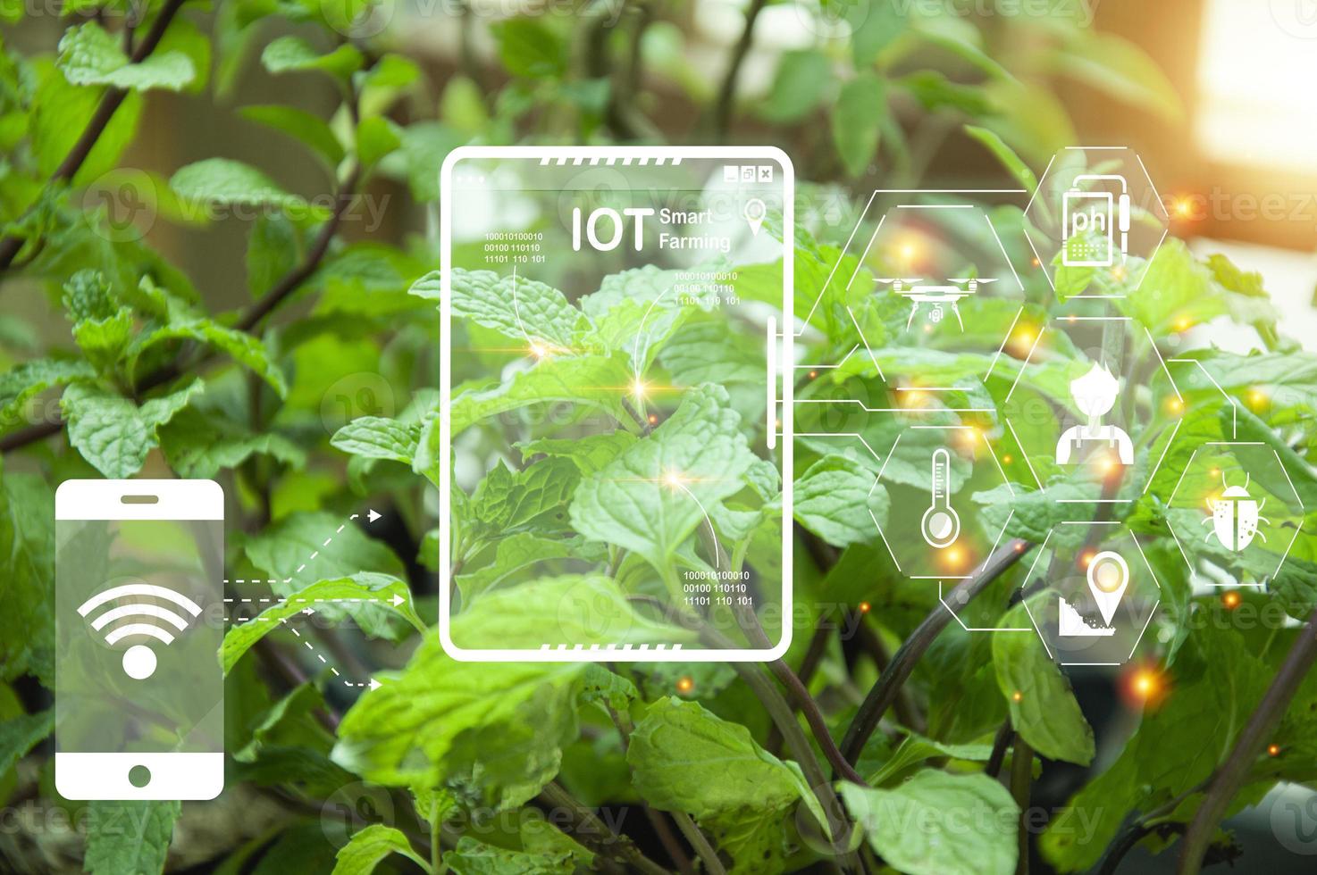 The concept of new farming or smart farming, agricultural technology photo