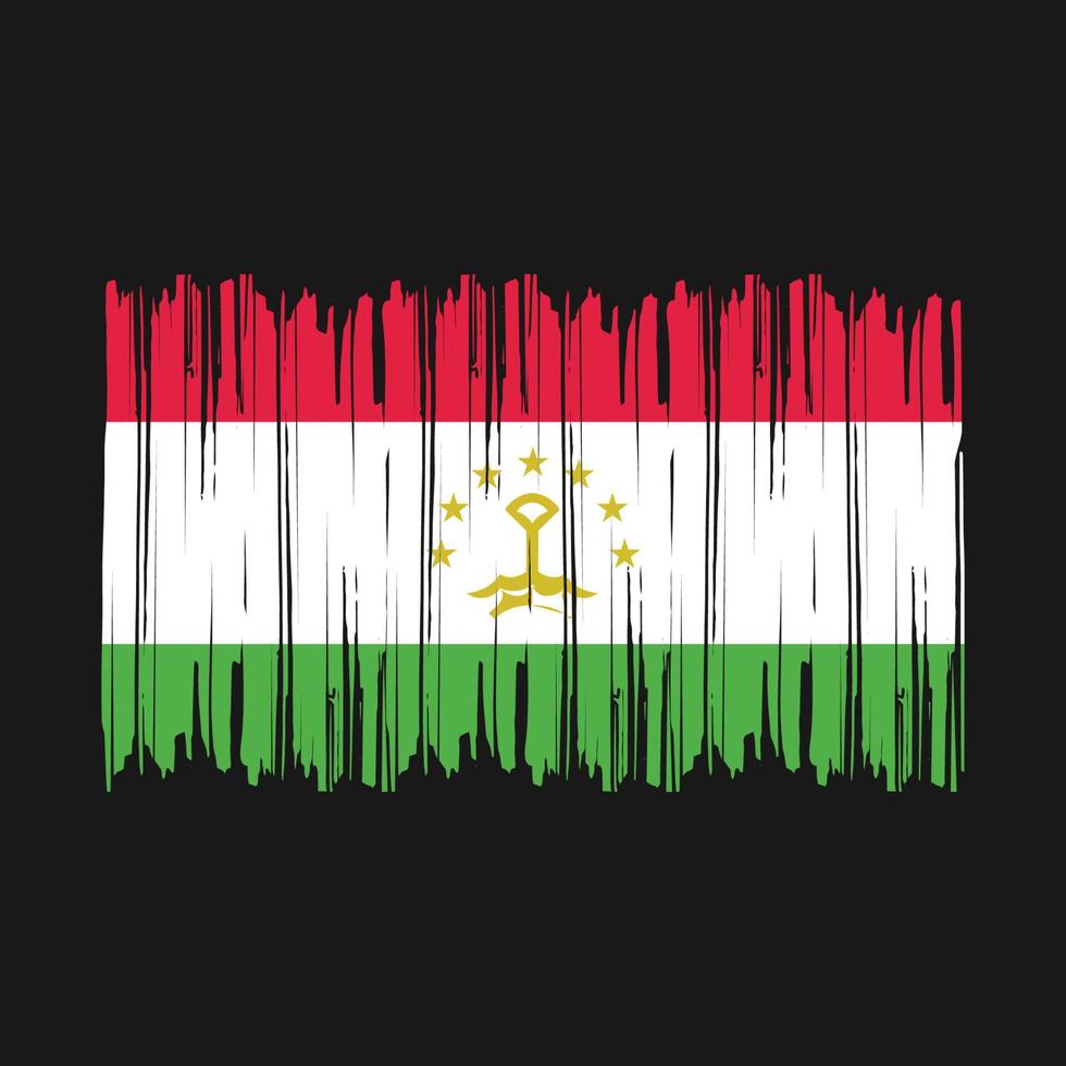 Tajikistan Flag Brush vector