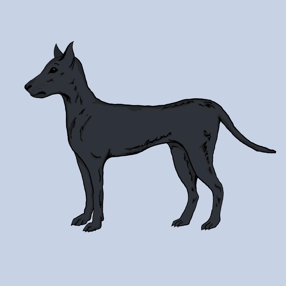 Big gray dog vector illustration