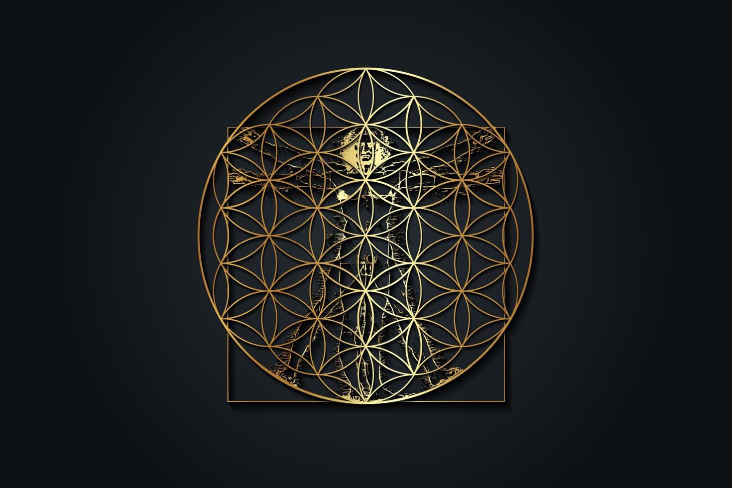 flor de vida en vitruviano hombre por Leonardo da vinci - sagrado geometría, logo diseño, lujo oro textura, vector ilustración aislado en negro antecedentes