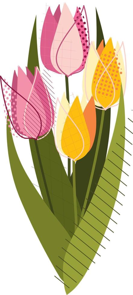 Pink and yellow tulips bouquet vector