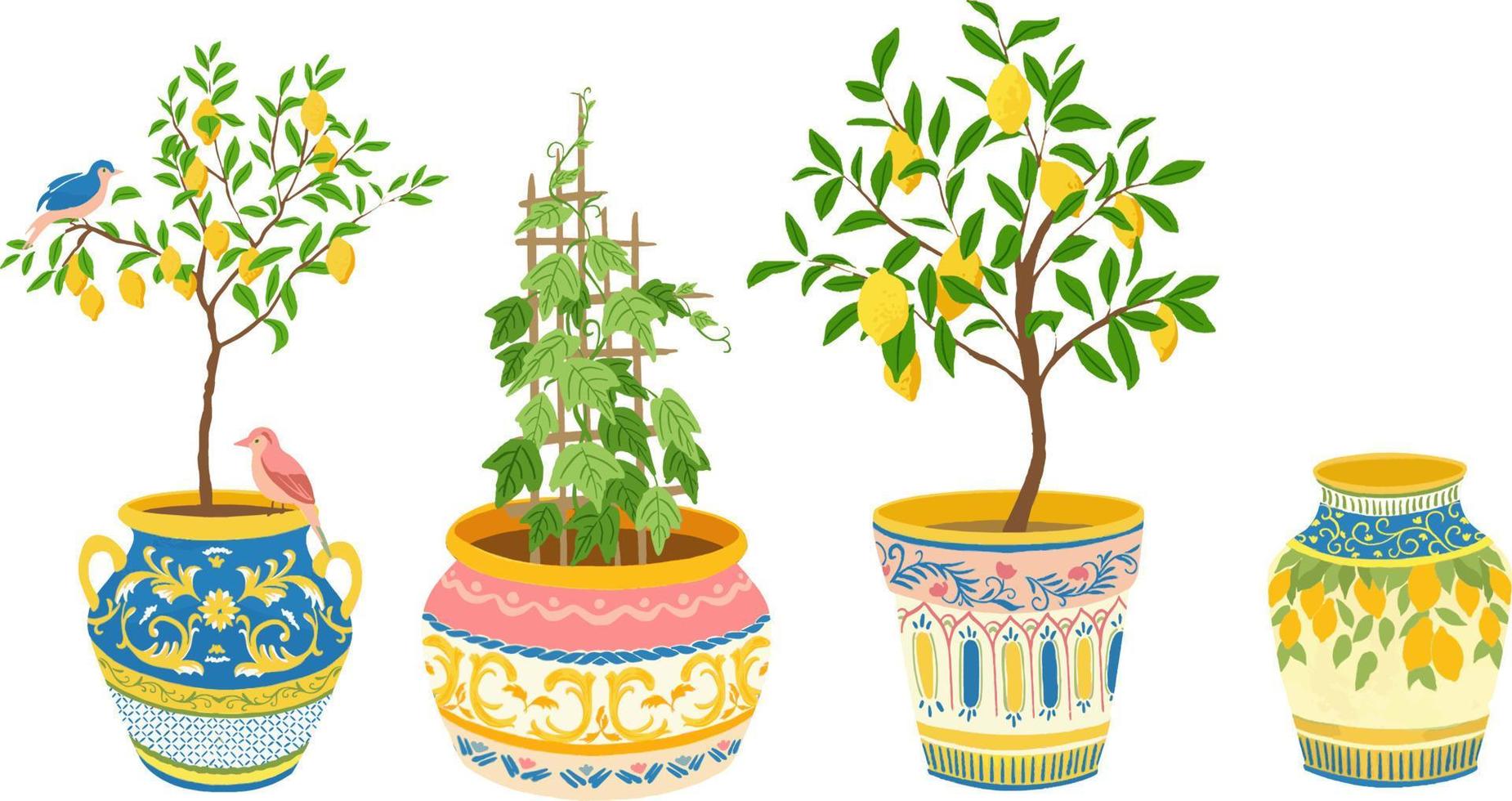 Set of ethnic ceramic pots with citrus trees and birds. Vector illustration.