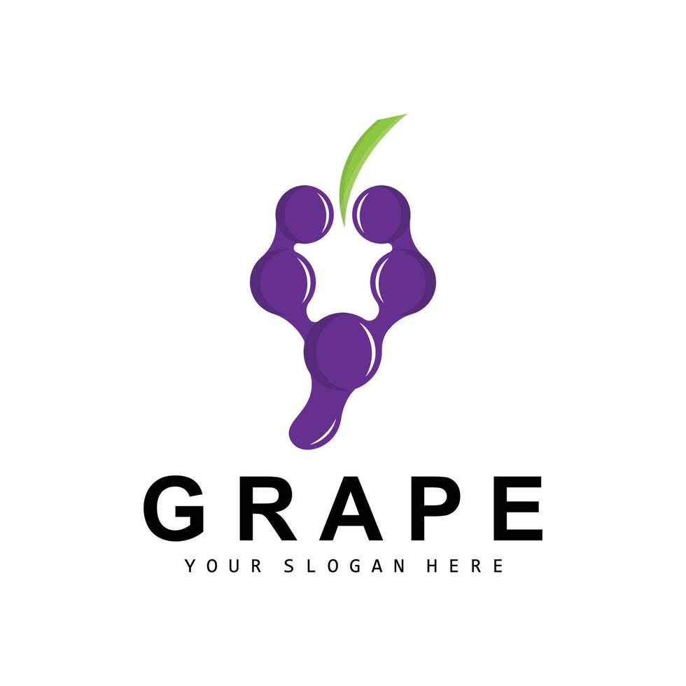 Grape Fruit Logo, Circle Style Fruit Design, Grape Farm Vector, Wine Drink, Nature Icon, Illustration Template vector