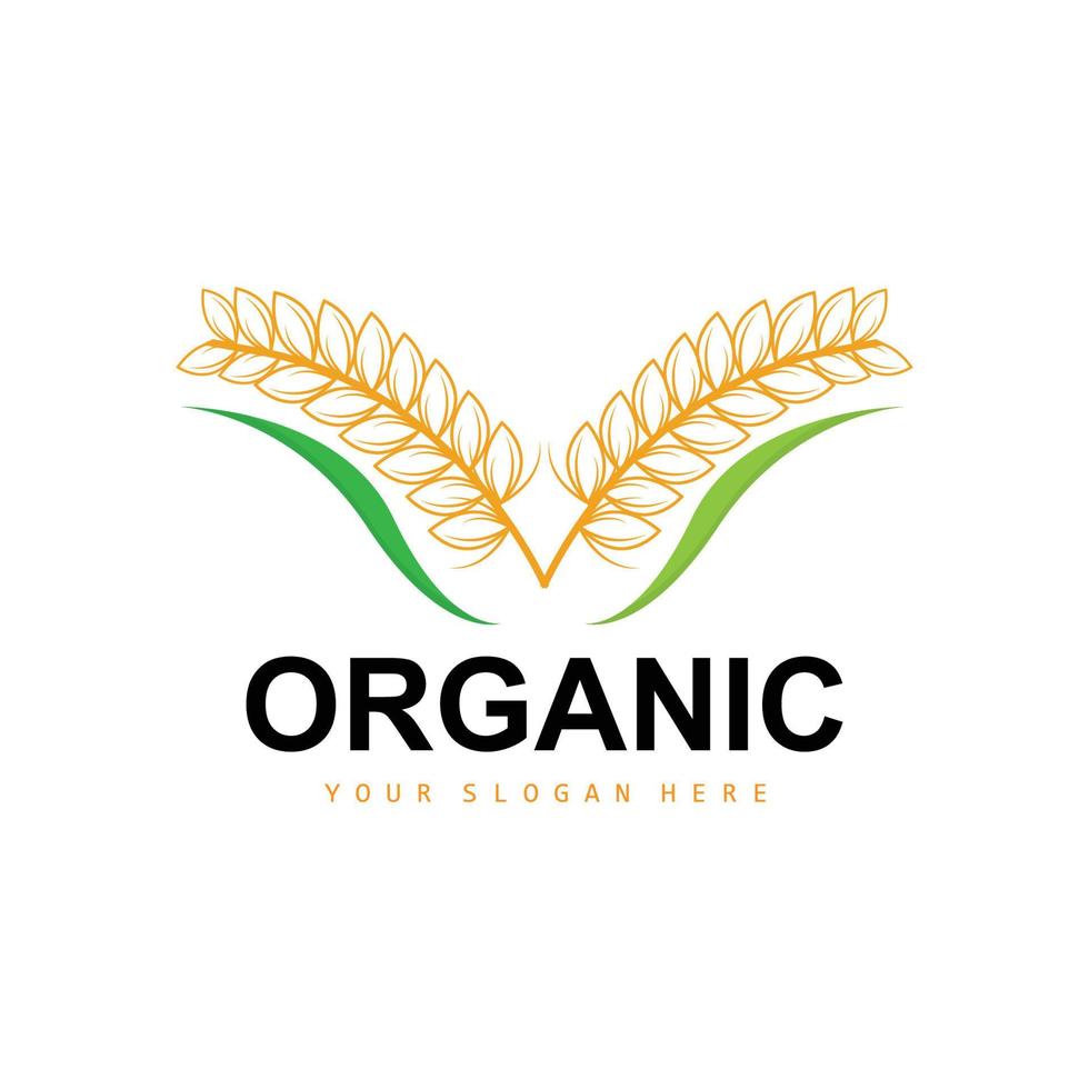 Wheat Rice Logo, Agricultural Organic Plants Vector, Luxury Design Golden Bakery Ingredients vector