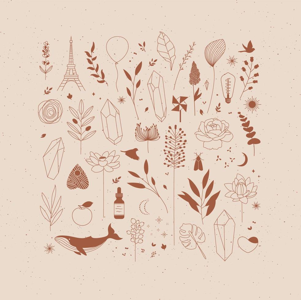 Set of different decorative elements with branches, flowers, animals and various objects drawing on beige background vector