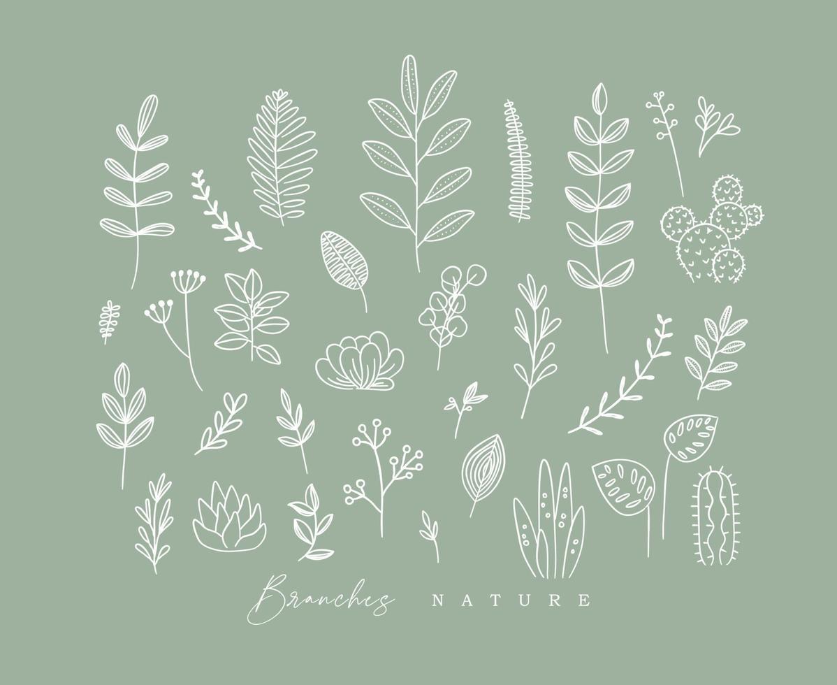 Set of different forms branch and leaves in minimalism style drawing on green background vector