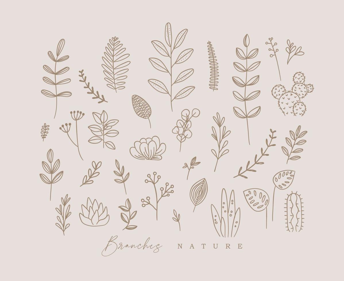 Set of different forms branch and leaves in minimalism style drawing on beige background vector