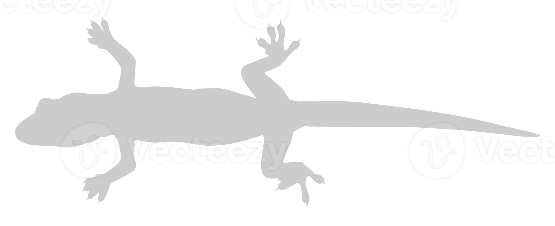 maison lézard aussi appelé maison gecko ou gekkonidae silhouette pour art illustration, logo, pictogramme ou graphique conception élément. format png