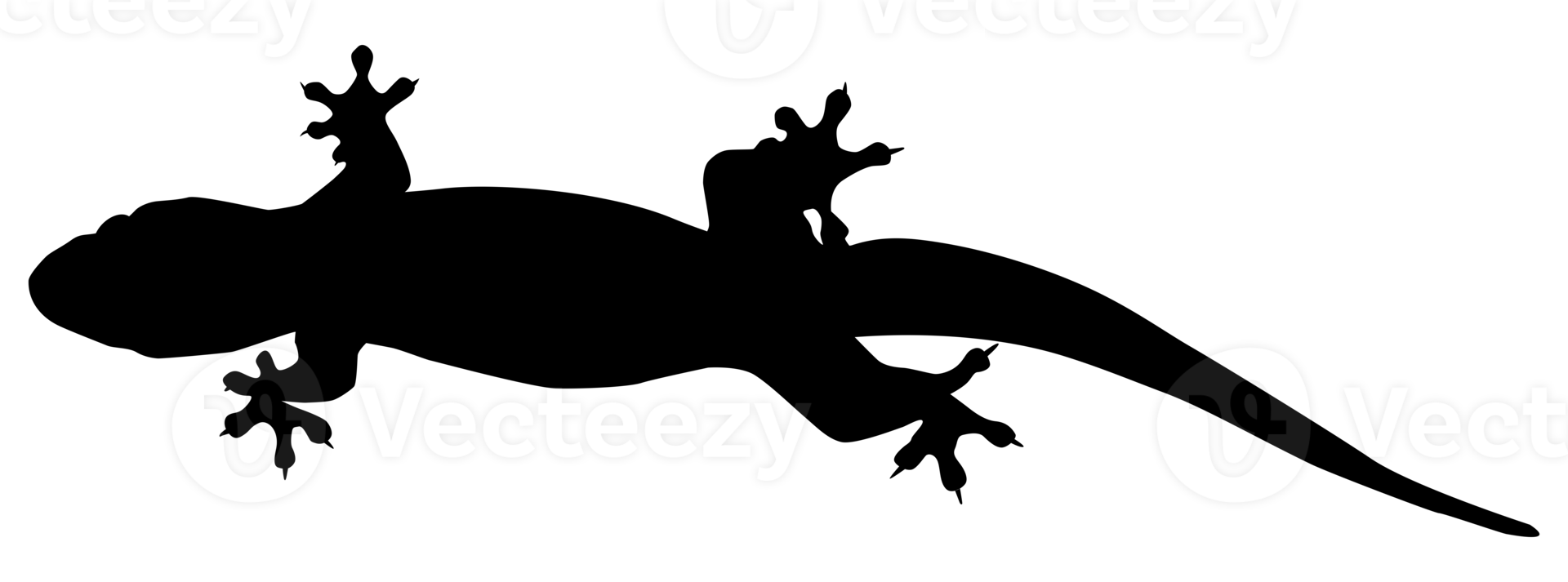 House Lizard also called House Gecko or Gekkonidae Silhouette for Art
