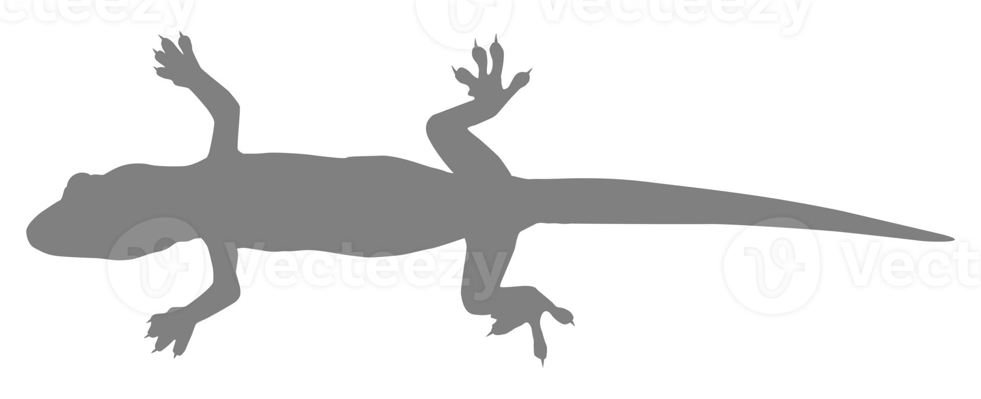 House Lizard also called House Gecko or Gekkonidae Silhouette for Art Illustration, Logo, Pictogram or Graphic Design Element. Format PNG