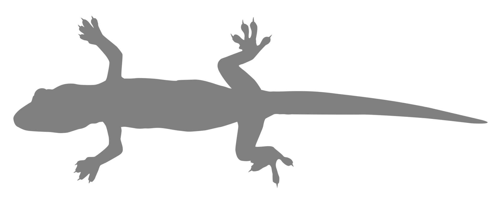 House Lizard also called House Gecko or Gekkonidae Silhouette for Art