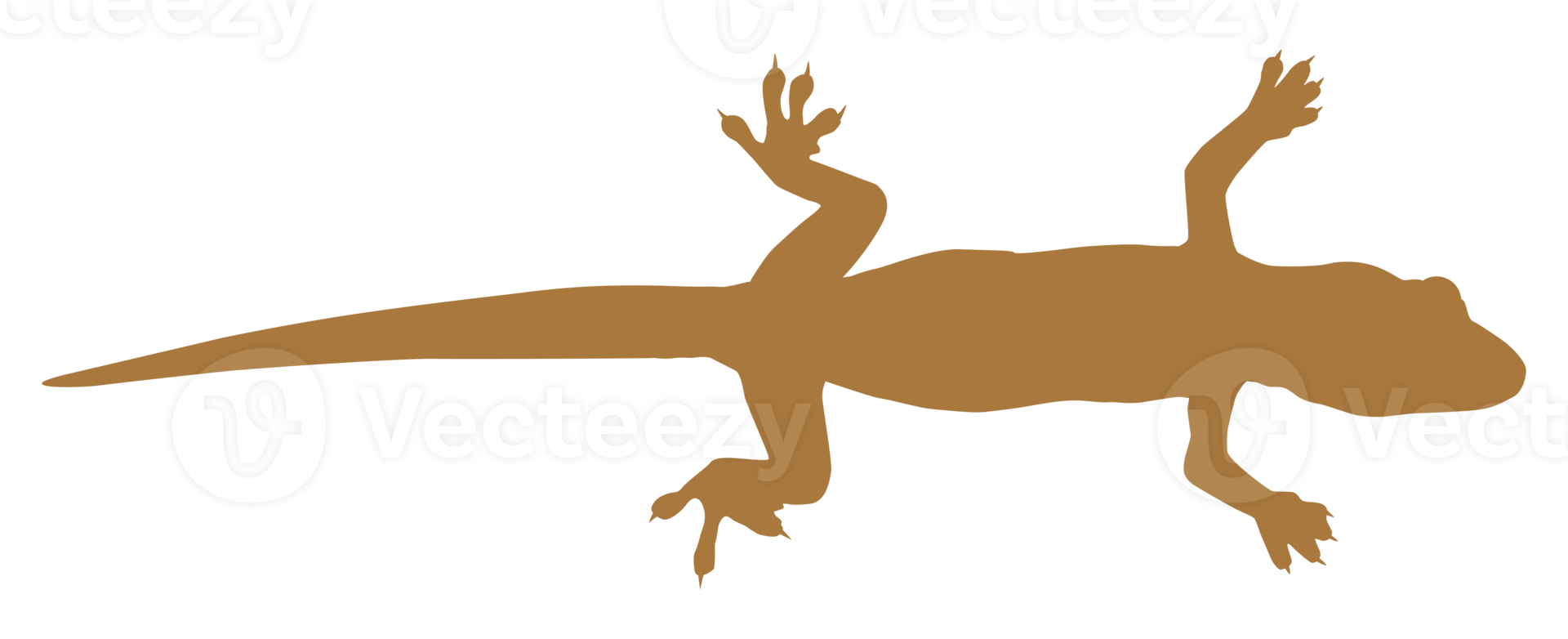 House Lizard also called House Gecko or Gekkonidae Silhouette for Art Illustration, Logo, Pictogram or Graphic Design Element. Format PNG