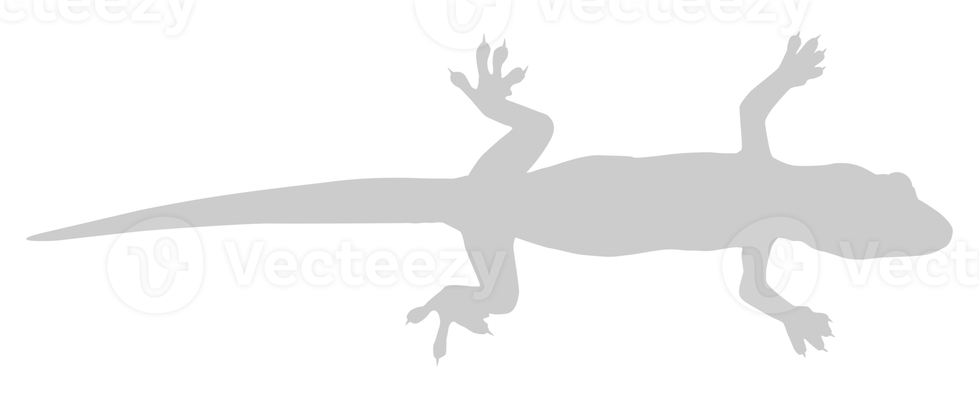 House Lizard also called House Gecko or Gekkonidae Silhouette for Art Illustration, Logo, Pictogram or Graphic Design Element. Format PNG