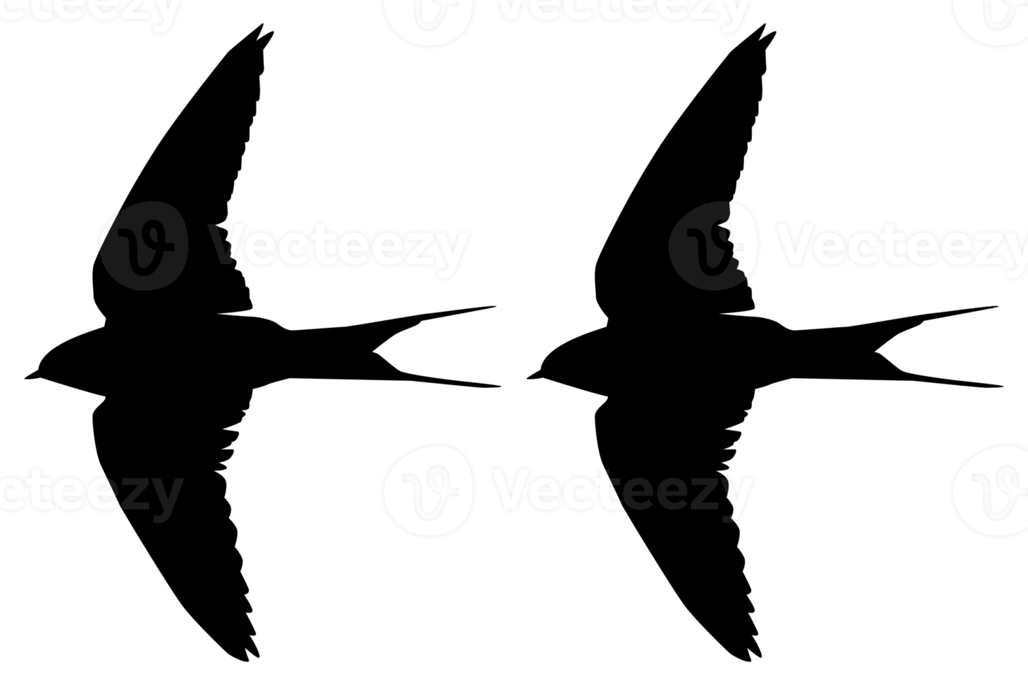 volante di il rondini, martini, e sega Ali, o hirundinidae uccello silhouette per logo, pittogramma, sito web, arte illustrazione o grafico design elemento. paio uccello. formato png