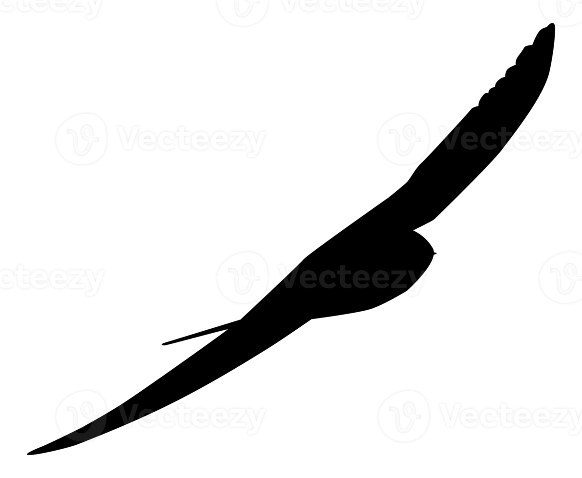 volador de el golondrinas, martines, y Sierra alas, o hirundinidae pájaro silueta para logo, pictograma, sitio web, Arte ilustración o gráfico diseño elemento. formato png