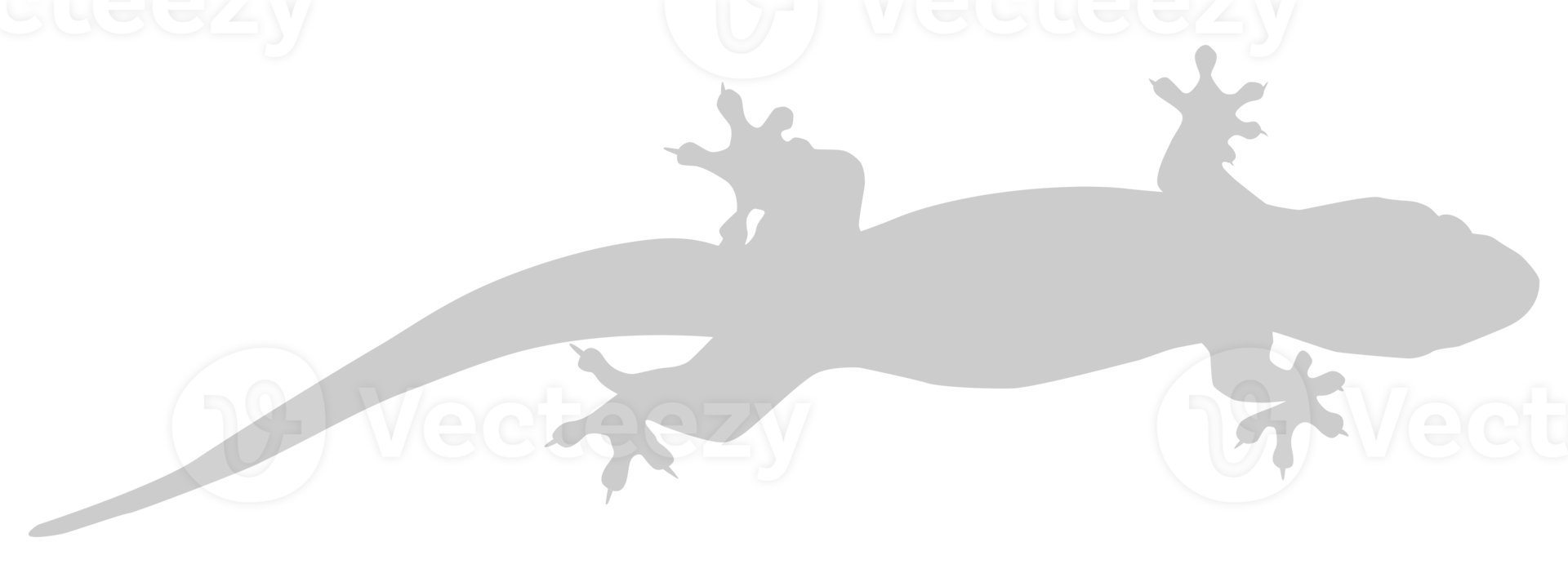 House Lizard also called House Gecko or Gekkonidae Silhouette for Art Illustration, Logo, Pictogram or Graphic Design Element. Format PNG