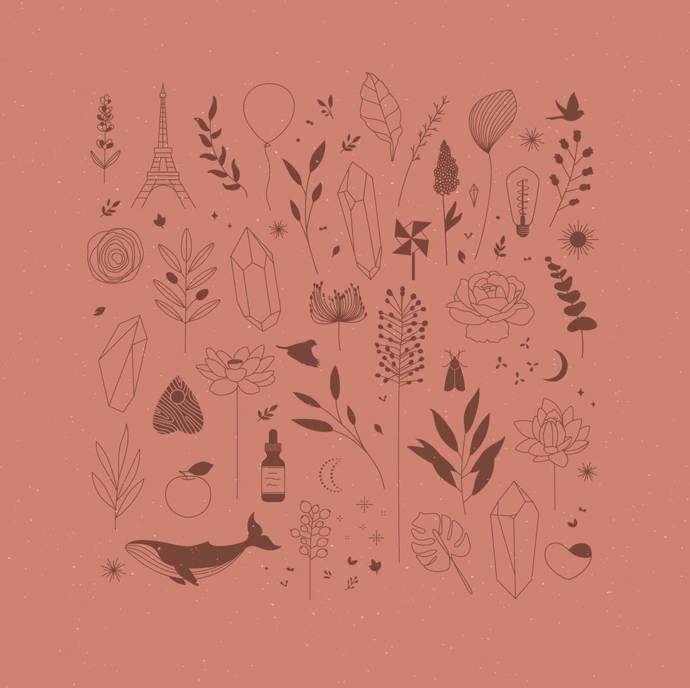 Set of different decorative elements with branches, flowers, animals and various objects drawing on coral background vector