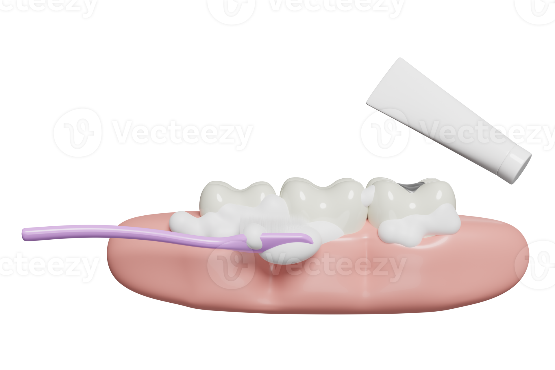 3d dental molar teeth model icon with toothbrush, toothpaste tube, gums