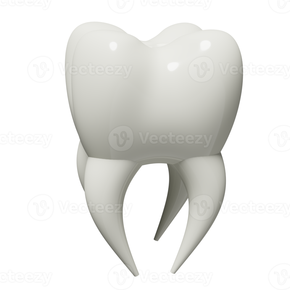 3d Dental Molar Zähne Modell- Symbol isoliert. Gesundheit von Weiß Zähne, Dental Untersuchung von das Zahnarzt, 3d machen Illustration png