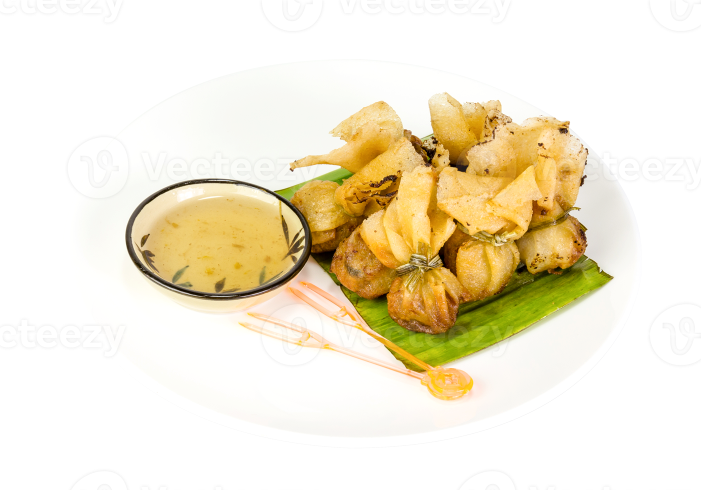 fried wonton or Toong Tong  isolated png
