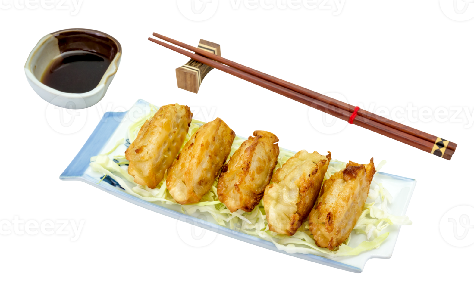 friterad klimpar eller gyoza isolerat png